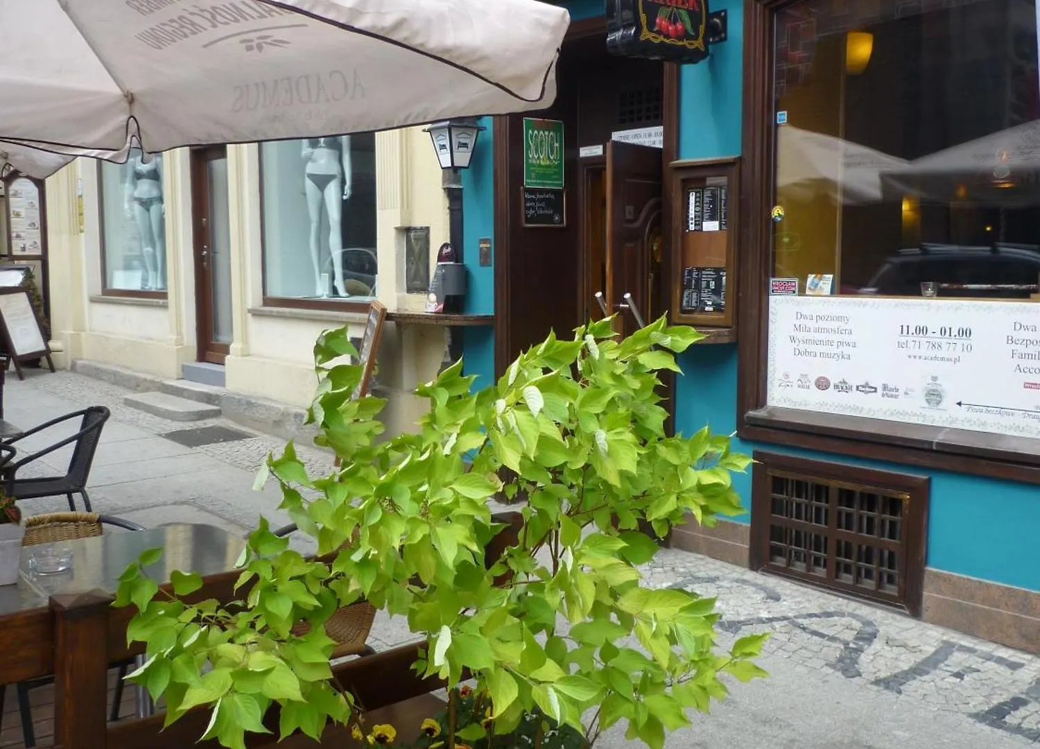 Frühstückspension Academus Pub & Guest House Breslau